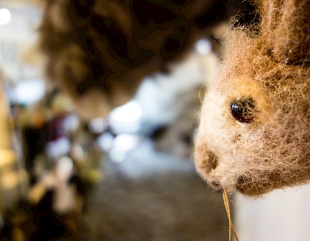 Un cambio de perspectiva. Con lla mirada de un conejo de fieltro. (Foto: Michael Orth)