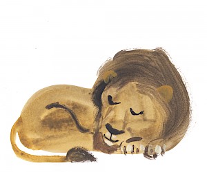 sleeping lion